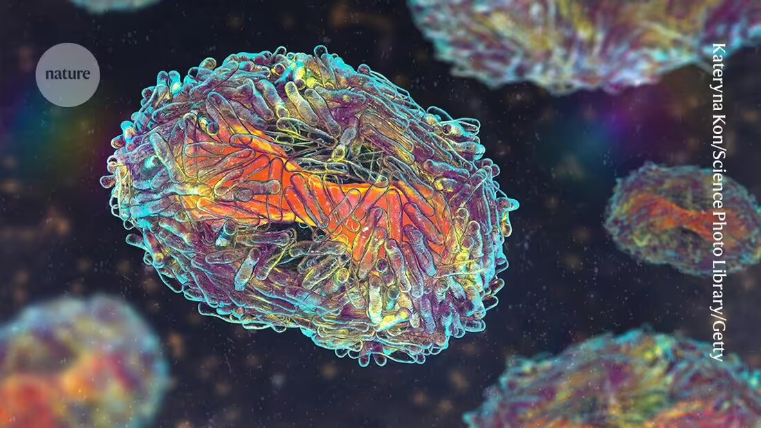 Erfahren Sie mehr über die aktualisierte Liste der prioritären Krankheitserreger für Epidemien und Pandemien, die von der Weltgesundheitsorganisation veröffentlicht wurde. Diese Liste enthält mehr als 30 potenziell gefährliche Erreger wie das Influenza-A-Virus, das Dengue-Virus und das Monkeypox-Virus. Forscher betonen die Bedeutung dieser Liste für die Entwicklung von Behandlungen, Impfstoffen und Diagnostika.