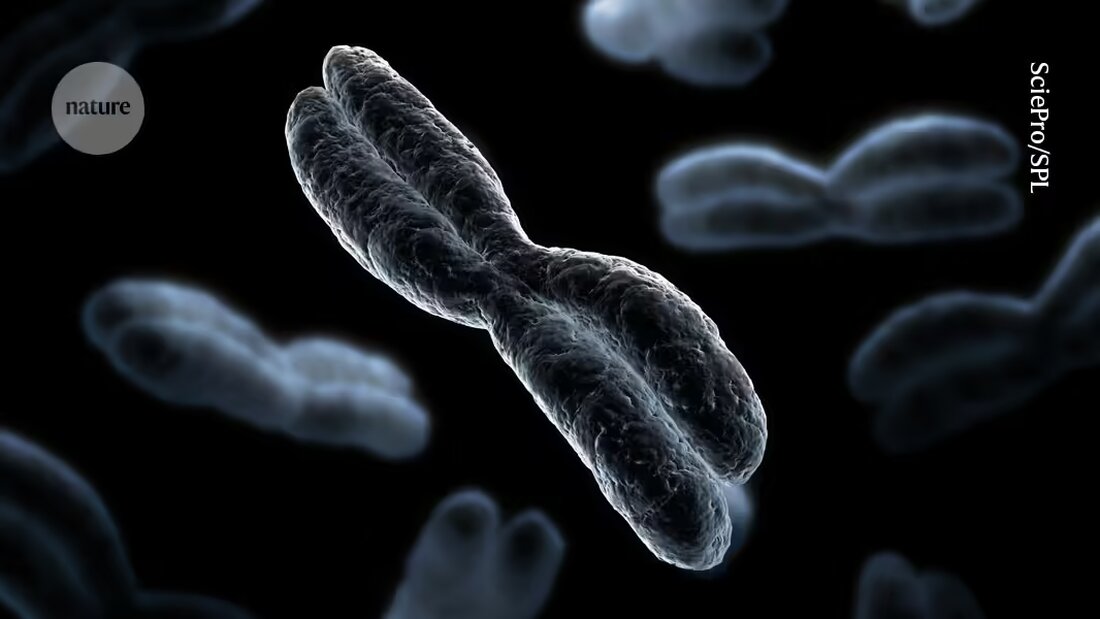 Entdecken Sie die bahnbrechende Forschung, die die 3D-Struktur der Genome prähistorischer Organismen enthüllt hat. Erfahren Sie mehr über die erstaunlichen Erkenntnisse zur Haut-DNA eines Wollmammuts aus Sibirien vor 50.000 Jahren.