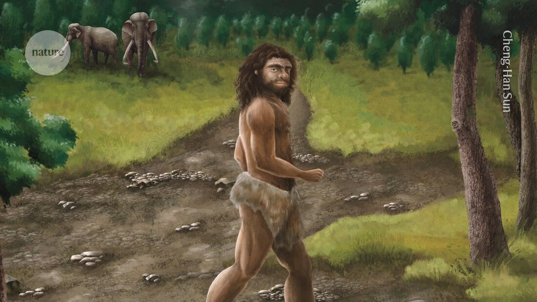 In Taiwan wurde ein geheimnisvoller menschlicher Fossilfund entdeckt, der sich als Denisovan herausstellte, was neue Einblicke in die menschliche Evolution bietet.