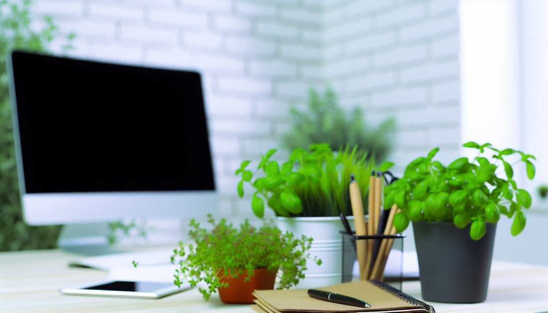 Entdecken Sie, wie Kräuter den Büroalltag bereichern: gesundheitliche Vorteile, praktische Anwendungen und nachhaltige Bezugsquellen.